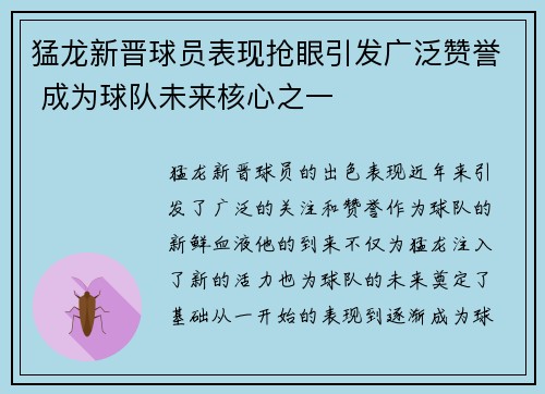 猛龙新晋球员表现抢眼引发广泛赞誉 成为球队未来核心之一